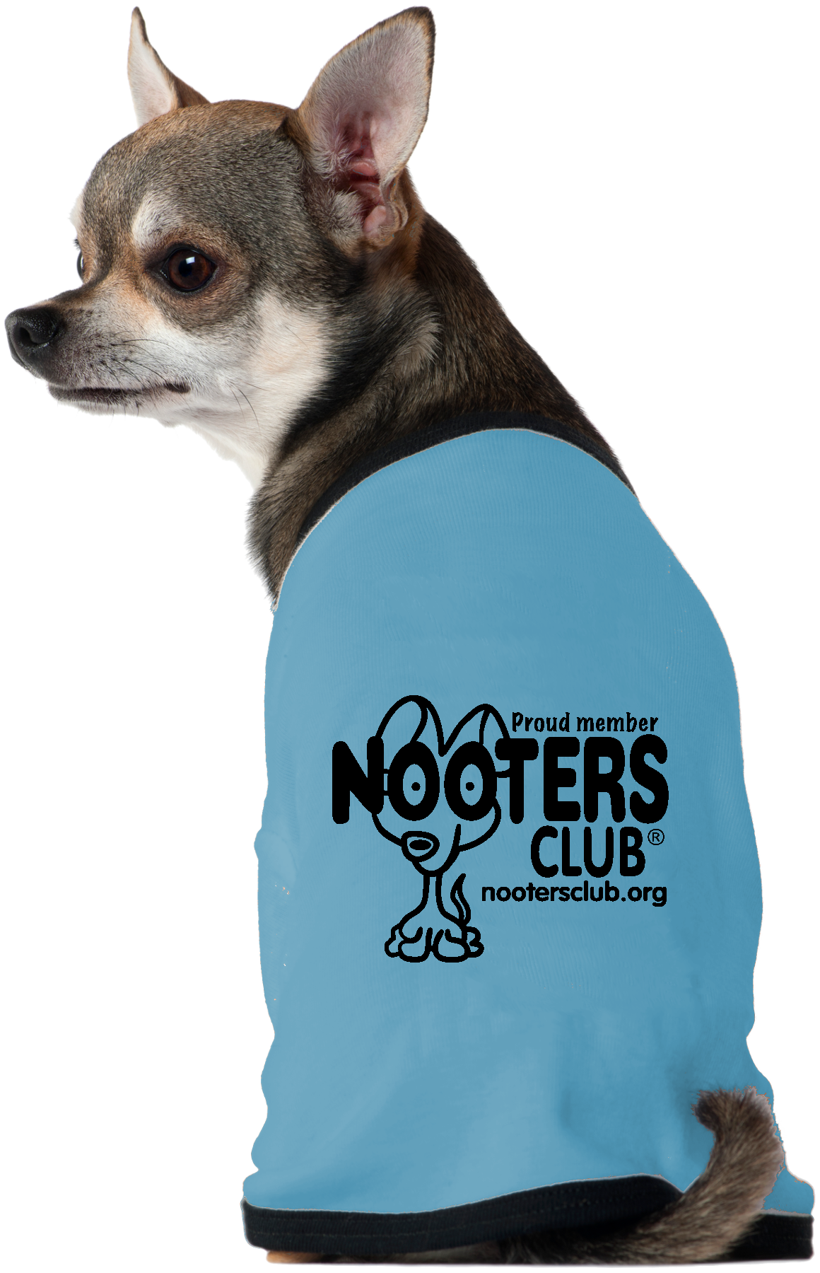 nooters club dog shirt orange pet shirt dog lover gift